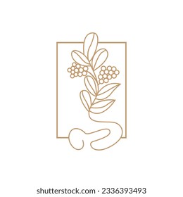 Coffee Logo, Coffee Tree Design, Cafe Drink Vector, Icon Brand Illustration Symbol