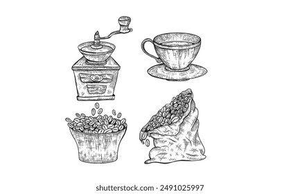 Coffee making objects set. Grinder, bag, beans, cup, moka pot coffee maker. Vintage hand drawn engraving etching style.