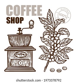 COFFEE MILL And Coffee Branch Design Of Stickers And Labels For Shop Of Dessert Drink Products In Vintage Style Hand Drawn Vector Illustration Set For Print