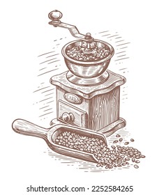 Coffee mill and scoop with coffee beans, sketch. Design for restaurant or cafe menu. Hand drawn vector illustration