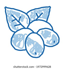 coffee natural beans sketch icon vector. Hand drawn blue doodle line art coffee natural beans sign. isolated symbol illustration