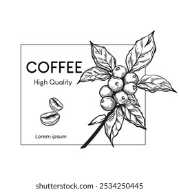 Coffee package design line art style. Design template.  Engraved style illustration. Vintage coffee