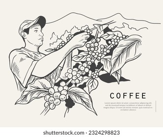 Coffee package with text and line icons. Paper packaging label. Design template. Coffee tree illustration. Engraved style illustration. Vintage coffee frame or label with typography example.