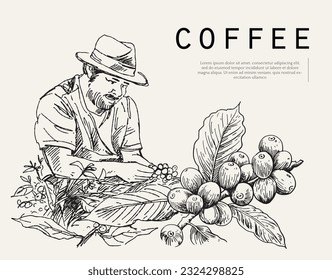 Coffee package with text and line icons. Paper packaging label. Design template. Coffee tree illustration. Engraved style illustration. Vintage coffee frame or label with typography example.