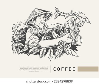 Coffee package with text and line icons. Paper packaging label. Design template. Coffee tree illustration. Engraved style illustration. Vintage coffee frame or label with typography example.