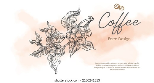 coffee for packaging design, label, banner advertising, and poster. coffee  of drawing illustration vector. banner coffee for advertising.