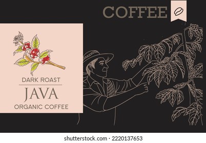 coffee packaging label of drawing ing illustration. coffee banner black background. coffee drawing for design printing