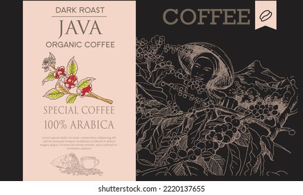 coffee packaging label of drawing ing illustration. coffee banner black background. coffee drawing for design printing