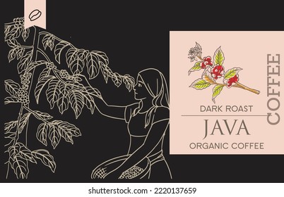 coffee packaging label of drawing ing illustration. coffee banner black background. coffee drawing for design printing