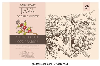 coffee packaging label of drawing ing illustration. coffee banner black background. coffee drawing for design printing