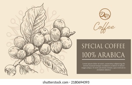 coffee packaging with label sticker paper for promotion. coffee banner of coffee picker sketch. coffee vector