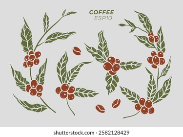 Coffee plant with beans, Arabica. shape silhouette  vector illustration