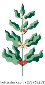 Coffee plant branch. Decorative texture design. Green flora