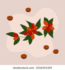 Coffee plant branch with red berries, green leaves and scattered roasted coffee beans on a beige background. Flat style vector illustration for coffee-themed designs.
