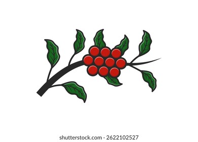 Coffee Plant Branch with Red Coffee Cherries and Green Leaves Illustration