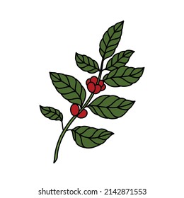 Kaffeepflanzendoodsymbol, Vektorgrafik