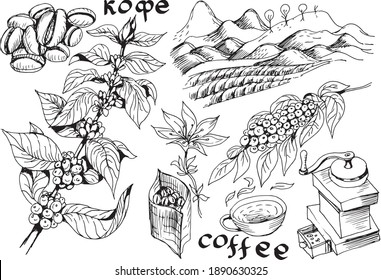 
Coffee, plant, drink. Cappuccino, ristretto, breakfast. Graphic hand-drawn illustration. Print, textile, vector. Separate elements on a white background.