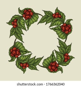 coffee plant frame hand drawing vintage vector illustration