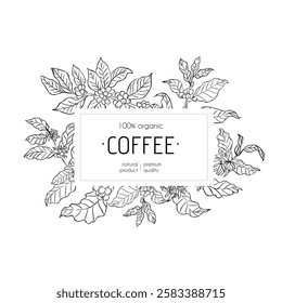 Coffee plant frame with leaves and berries in line art style. Rectangular label with text in the center. Black and white botanical illustration. Template for branding, packaging, and label design.