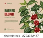coffee plant and coffee fruit background illustration banner template design