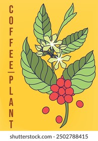 Coffee Plant Graphic Element Illustration 