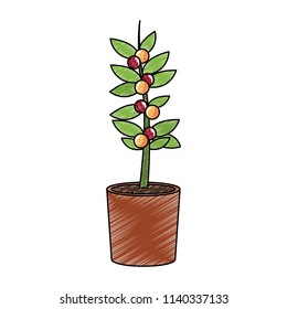 Coffee plant harvest scribble