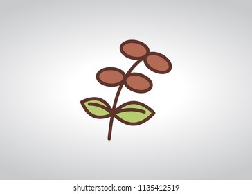 Coffee Plant icon, filled line icon