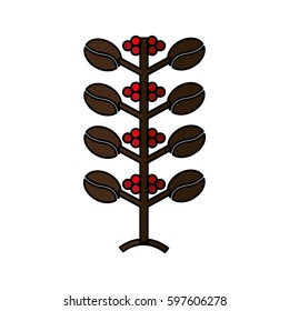 coffee plant isolated icon vector illustration design