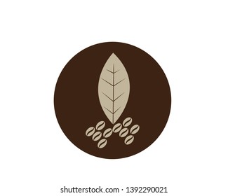 Coffee plant, Isolated coffee on white background. vector illustration - Vector

