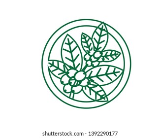 Coffee plant, Isolated coffee on white background. vector illustration - Vector
