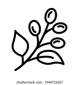 Coffee plant with leaf and beans icon. Coffee symbol vector sign isolated on white background illustration for graphic and web design.