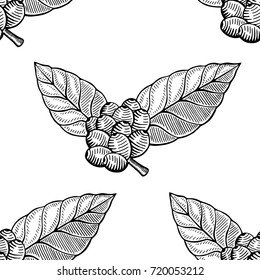 coffee plant pattern