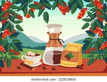 Coffee plant plantation products tree abstract design element concept illustration