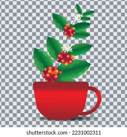 Coffee plant. Ripening of coffee berries. vector stock illustration