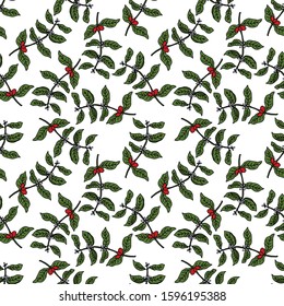 coffee plant seamless doodle pattern, vector illustration