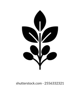 coffee plant seed icon vector 