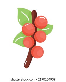 coffee plant seeds nature icon