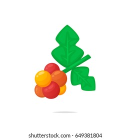 Coffee plant vector