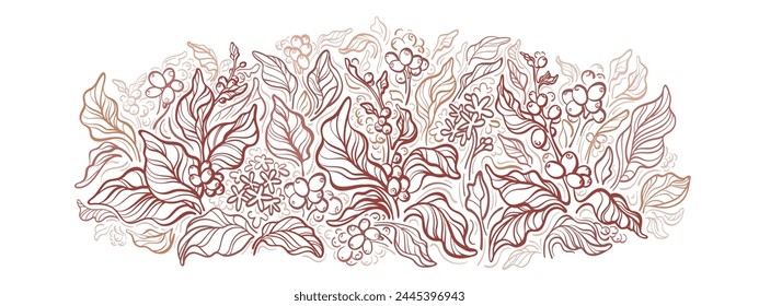 Coffee plantation. Farm field with texture branch, berry, leaves. Vector hand drawn engraved illustration for cafe shop, template on white background. Art vintage style