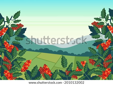 Coffee plantation field production concept. Vector flat cartoon design illustration