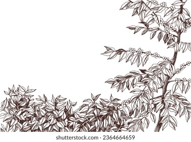 Coffee plantation hand drawn landscape