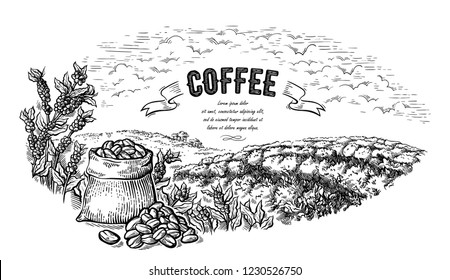 coffee plantation landscape bag and bush in graphic style hand-drawn vector illustration.