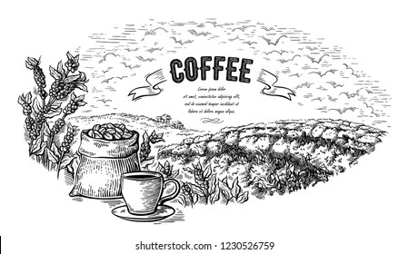 coffee plantation landscape bag bush and cup in graphic style hand-drawn vector illustration.