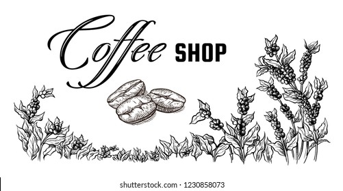 coffee plantation landscape and coffee bean macro in graphic style hand-drawn vector illustration.