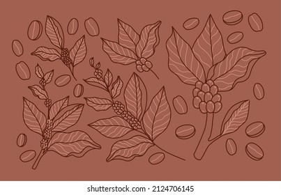 coffee plants card with coffee beans