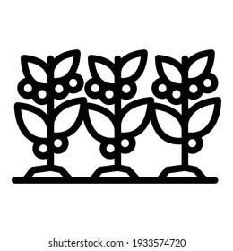 Coffee plants icon. Outline coffee plants vector icon for web design isolated on white background