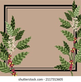 coffee plants illustration with beans