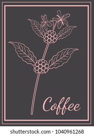Coffee Postcard Poster Hand draw Branch Leaves Flowers Nut Pink on a Dark Background
