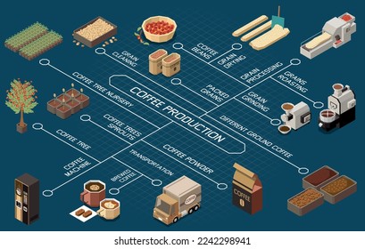 Coffee production industry flowchart depicting coffee tree nursery grain processing grains cleaning roasting transportation brewed and ground coffee isometric vector illustration