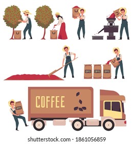 Coffee production on agriculture farm. Process and manufacturing stages - harvesting and stripping, drying and hulling, packaging and delivery. Vector isolated illustrations.